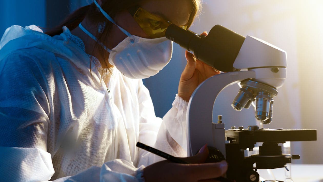 VIDAS Immunoassay System